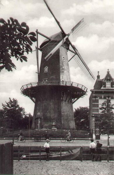 Bestand:Molens-B1-Papagay.jpg