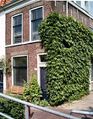 Miniatuurafbeelding voor de versie van 28 jan 2024 17:42